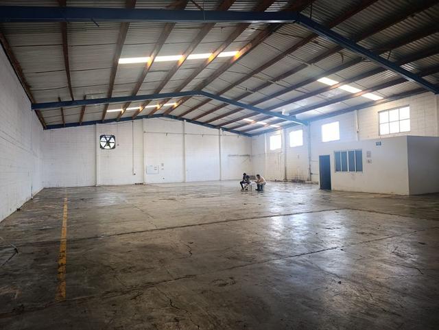Foto de la galeria de imagenes
